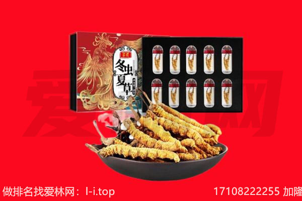 永丰县回收虫草.jpg